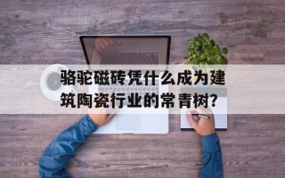骆驼磁砖凭什么成为建筑陶瓷行业的常青树？