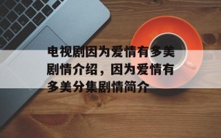 电视剧因为爱情有多美剧情介绍，因为爱情有多美分集剧情简介