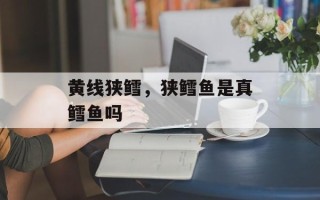 黄线狭鳕，狭鳕鱼是真鳕鱼吗