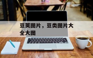 豆荚图片，豆类图片大全大图