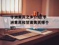 子洲黄芪之乡介绍(子洲黄芪和甘肃黄芪哪个好)