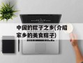 中国的粽子之乡(介绍家乡的美食粽子)