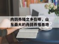 肉鸽养殖之乡在哪，山东最大的肉鸽养殖基地
