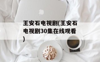王安石电视剧(王安石电视剧30集在线观看)