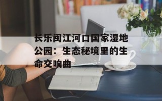 长乐闽江河口国家湿地公园：生态秘境里的生命交响曲