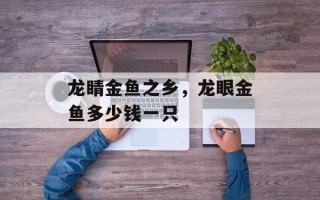 龙睛金鱼之乡，龙眼金鱼多少钱一只
