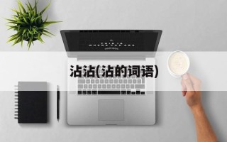 沾沾(沾的词语)