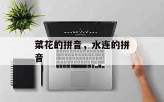 菜花的拼音，水连的拼音