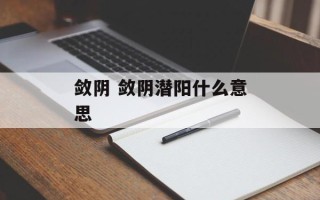 敛阴 敛阴潜阳什么意思
