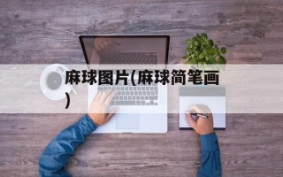 麻球图片(麻球简笔画)
