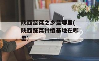 陕西蔬菜之乡是哪里(陕西蔬菜种植基地在哪里)