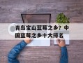 青岛宝山蓝莓之乡？中国蓝莓之乡十大排名