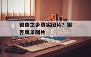 银杏之乡真实图片？银杏风景图片