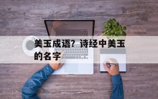 美玉成语？诗经中美玉的名字