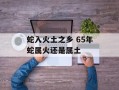 蛇入火土之乡 65年蛇属火还是属土