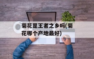 菊花是王者之乡吗(菊花哪个产地最好)