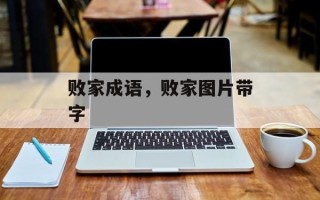 败家成语，败家图片带字
