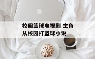 校园篮球电视剧 主角从校园打篮球小说