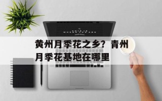 黄州月季花之乡？青州月季花基地在哪里