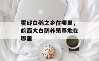 霍邱白鹅之乡在哪里，皖西大白鹅养殖基地在哪里