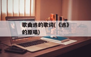 歌曲逃的歌词(《逃》的原唱)