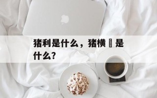 猪利是什么，猪横脷是什么？
