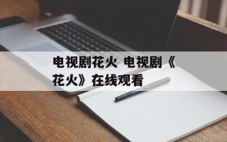 电视剧花火 电视剧《花火》在线观看