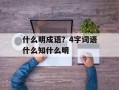 什么明成语？4字词语什么知什么明