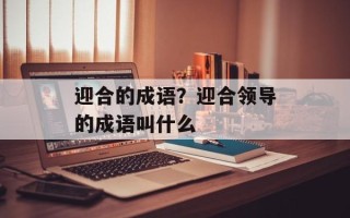 迎合的成语？迎合领导的成语叫什么