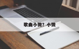 歌曲小微？小微