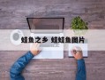 蛙鱼之乡 蛙蛙鱼图片