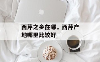 西芹之乡在哪，西芹产地哪里比较好