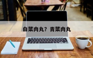 白菜肉丸？青菜肉丸