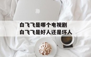 白飞飞是哪个电视剧 白飞飞是好人还是坏人