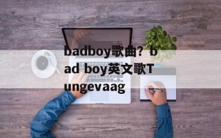 badboy歌曲？bad boy英文歌Tungevaag