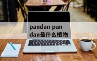 pandan pandan是什么植物