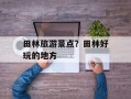 田林旅游景点？田林好玩的地方