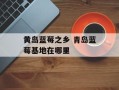 黄岛蓝莓之乡 青岛蓝莓基地在哪里