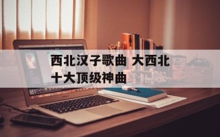西北汉子歌曲 大西北十大顶级神曲