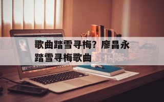 歌曲踏雪寻梅？廖昌永踏雪寻梅歌曲