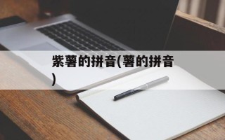 紫薯的拼音(薯的拼音)