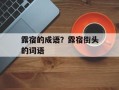 露宿的成语？露宿街头的词语