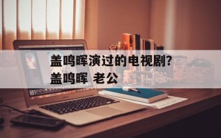盖鸣晖演过的电视剧？盖鸣晖 老公