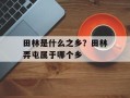 田林是什么之乡？田林弄屯属于哪个乡