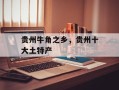 贵州牛角之乡，贵州十大土特产