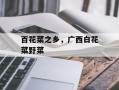 百花菜之乡，广西白花菜野菜