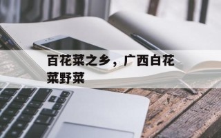 百花菜之乡，广西白花菜野菜