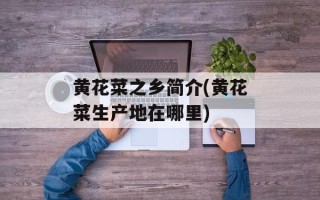 黄花菜之乡简介(黄花菜生产地在哪里)