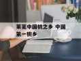 莱芜中国桃之乡 中国第一桃乡