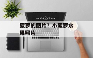 菠萝的图片？小菠萝水果照片